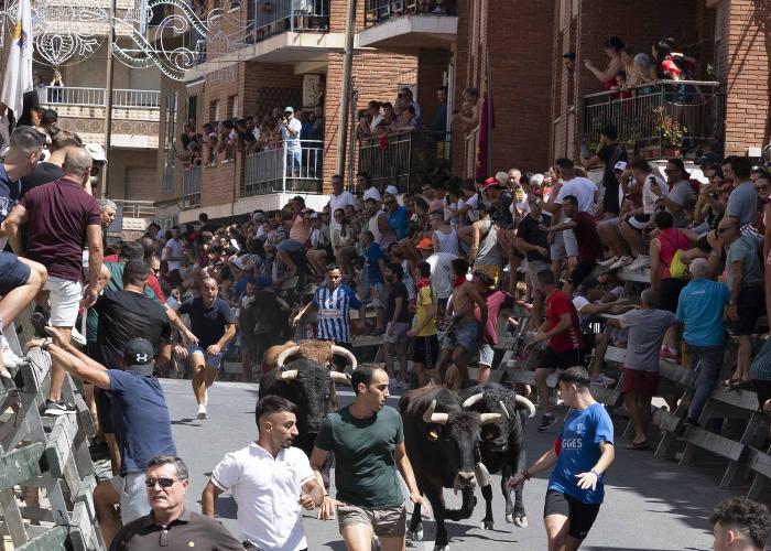 ENCIERRO DE BLANCA