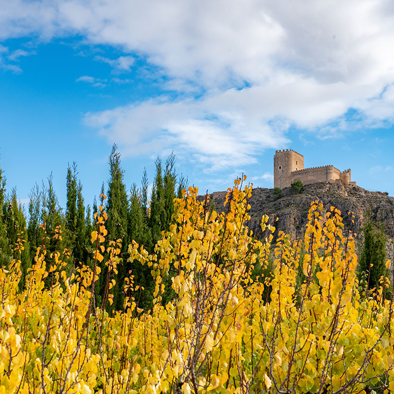 Jumilla
