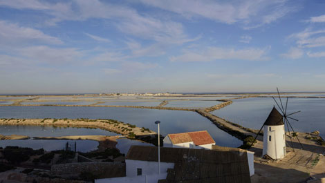 M�s informaci�n sobre San Pedro del Pinatar