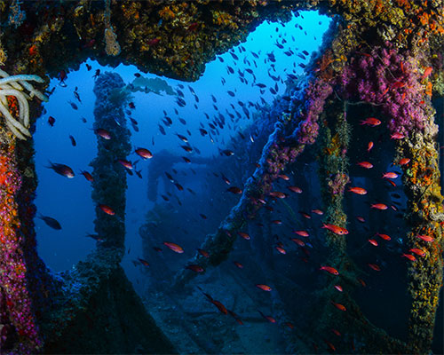 La Manga Isla Grosa