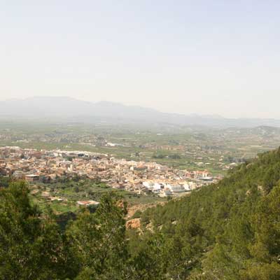 Pliego