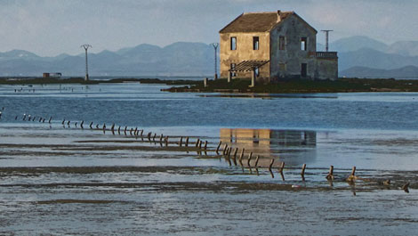 San Javier