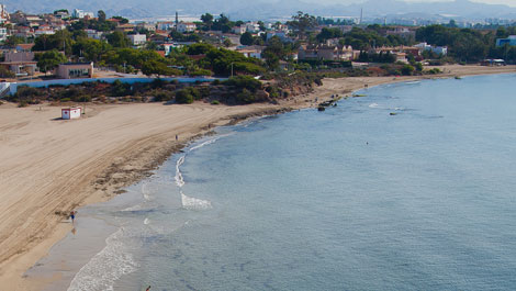 M�s informaci�n sobre playas para mascotas en Cartagena