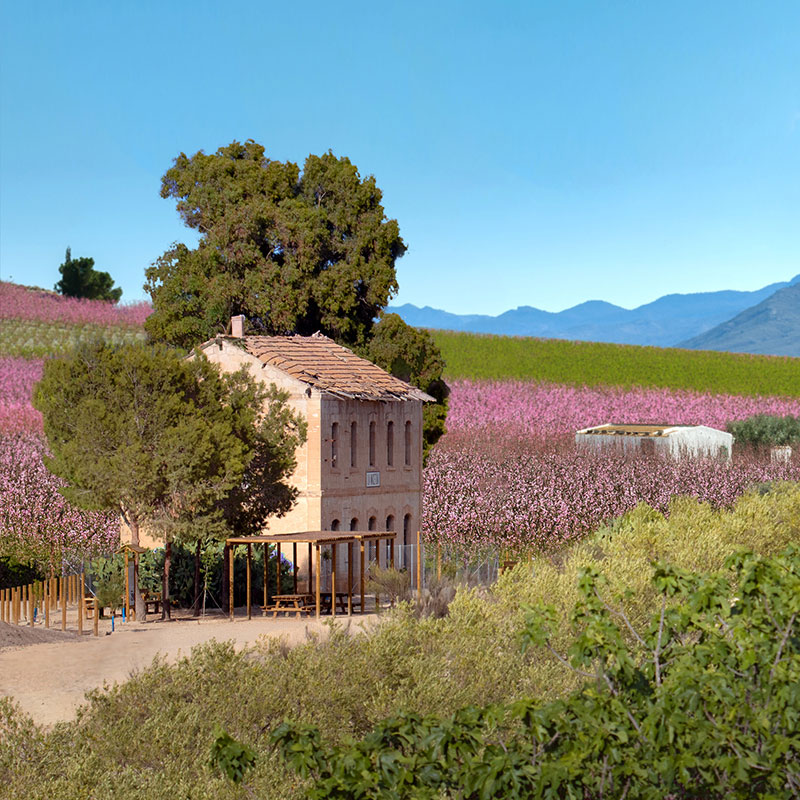 Cieza Flowering Greenway