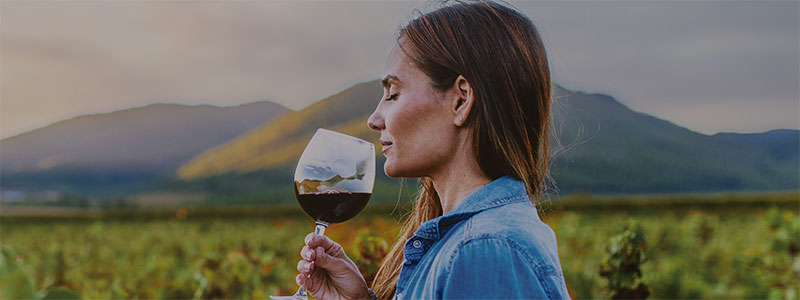 Wine Tourism