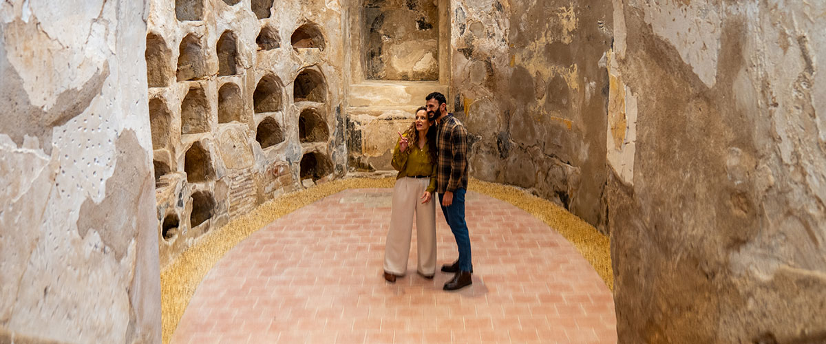  Guided Visits