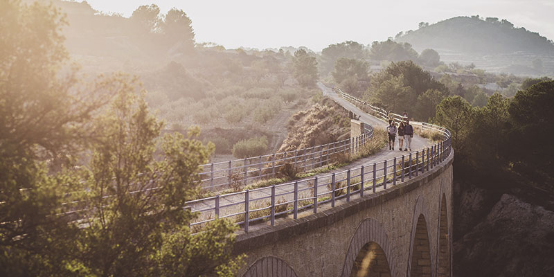 Camino de Levante