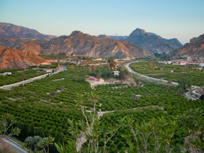 El Valle de Ricote, un para�so natural de la Regi�n