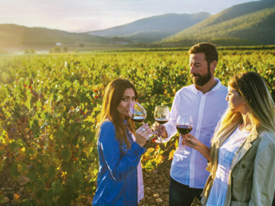 Tres destinos para convertirte en un 'wine lover' en la Regi�n de Murcia
