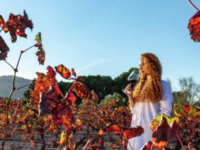 Visita bodegas en plena naturaleza en la Regi�n de Murcia