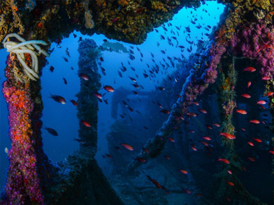 Cuevas submarinas para buceadores