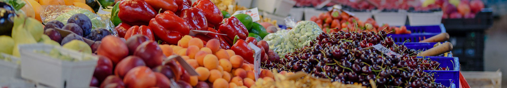 Supply Markets