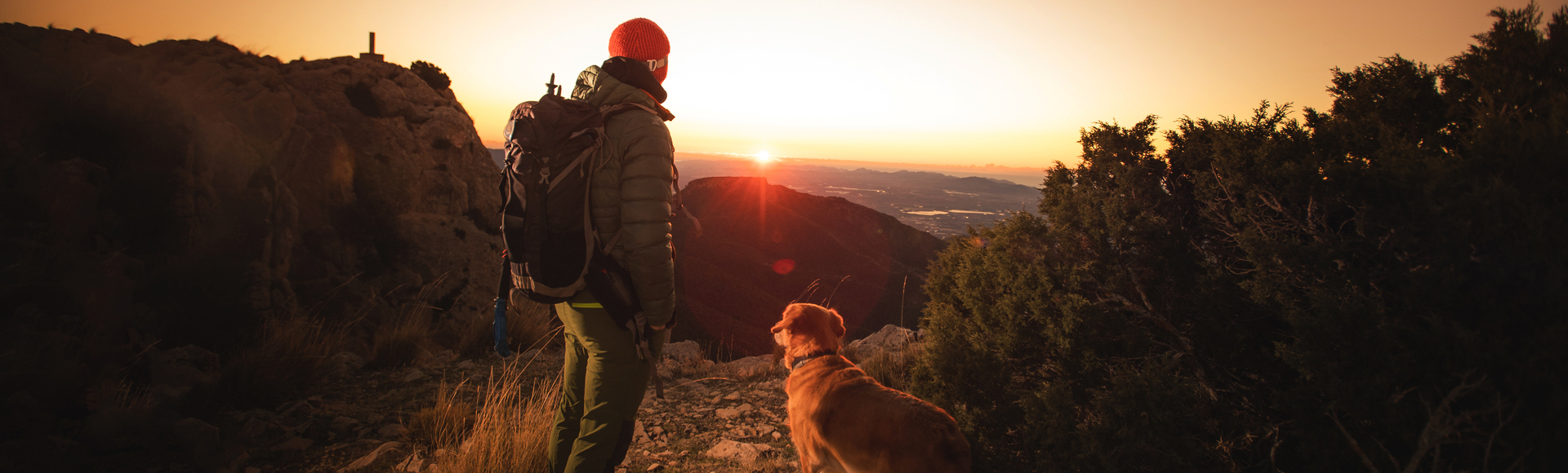 Travel with your pet
