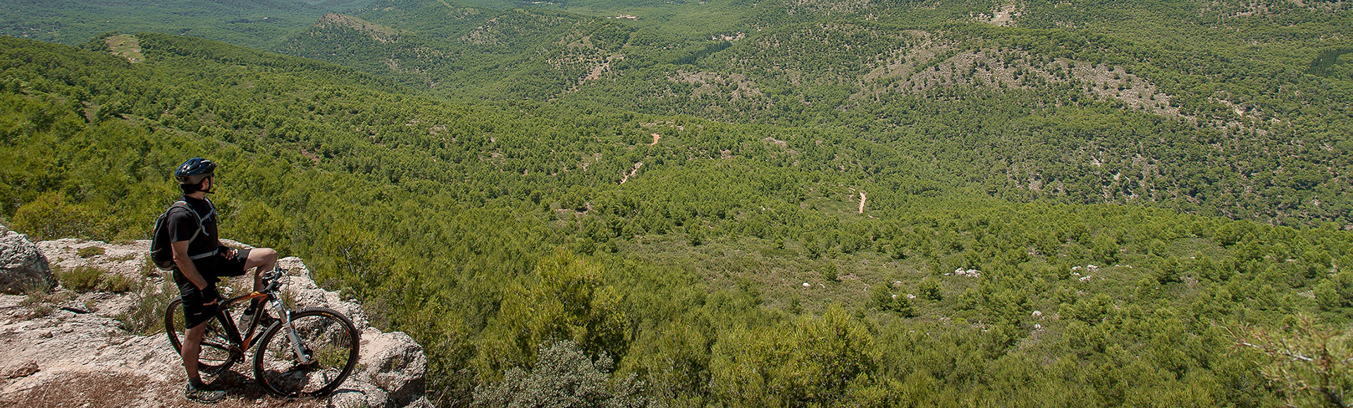 Regi�n de Murcia