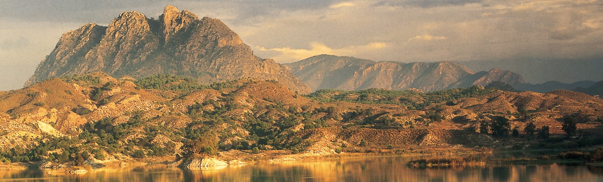 Calasparra