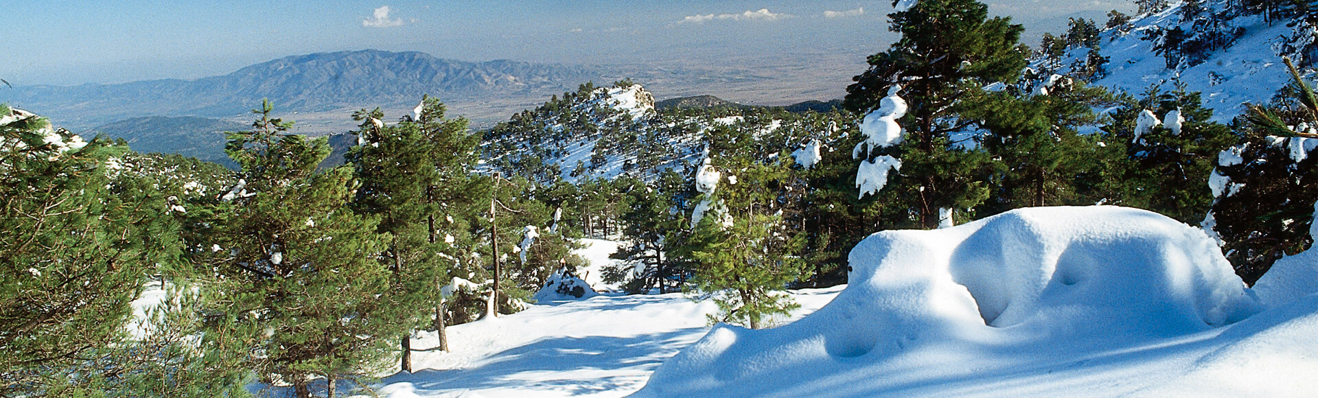 Alhama de Murcia