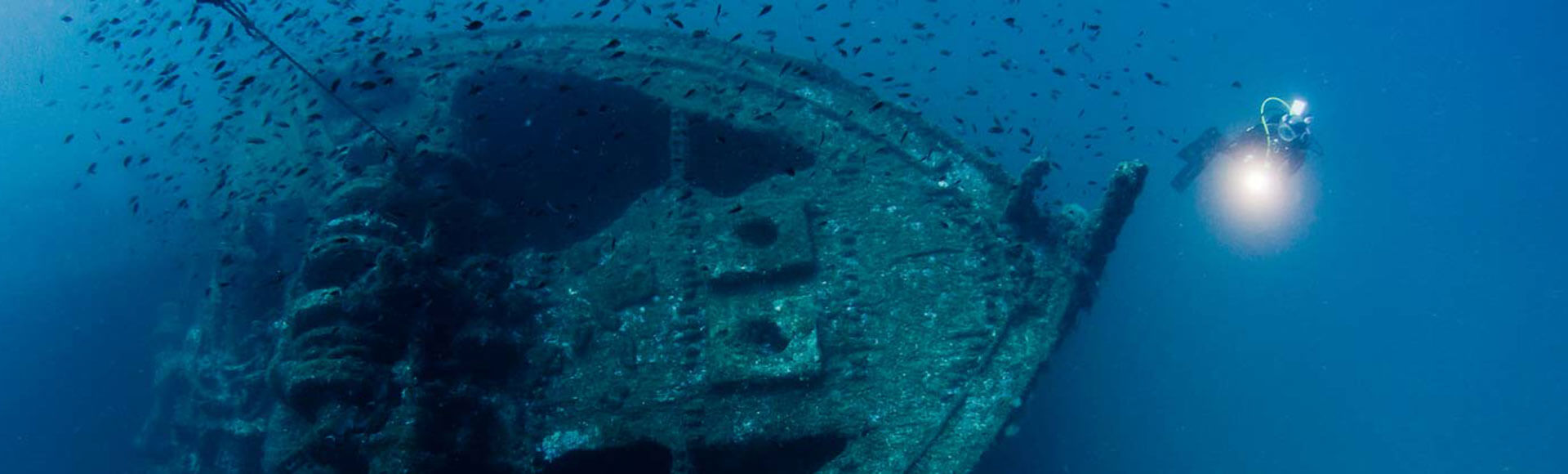 Descubre los fondos marinos de la Regi�n de Murcia