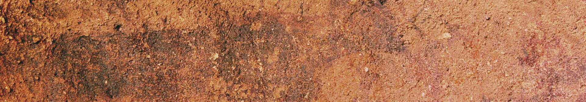 Rock Art