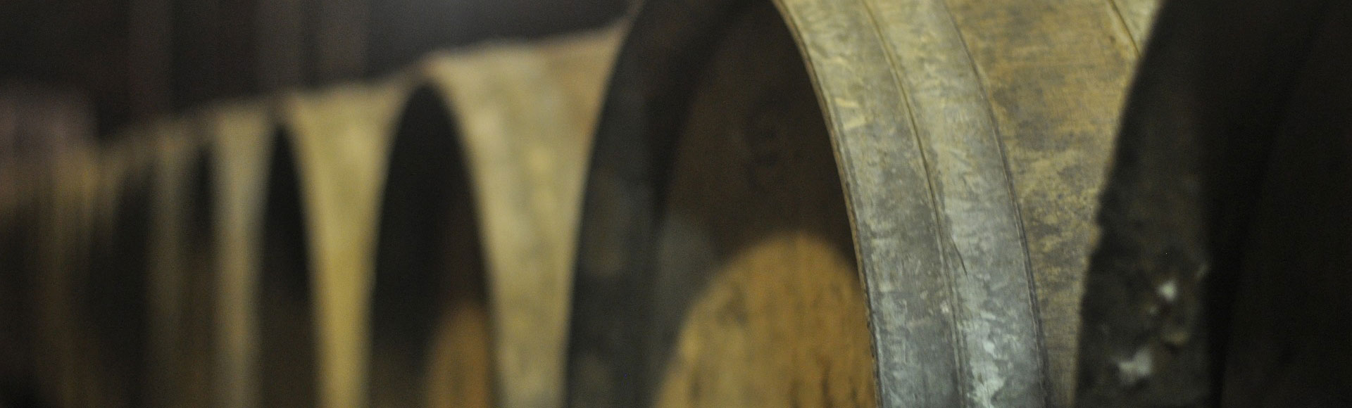 Bodegas