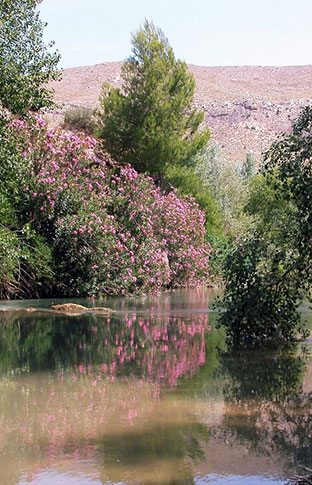 Actividad en Reserva Natural de Ca�averosa