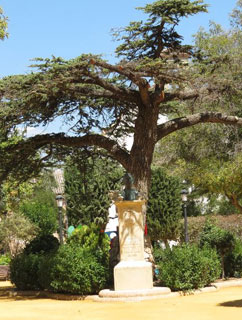 Parque de la Constituci�n