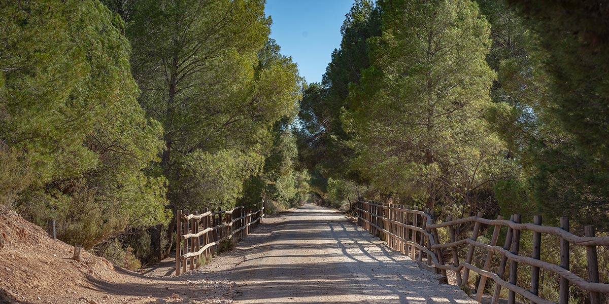 V�as Verdes