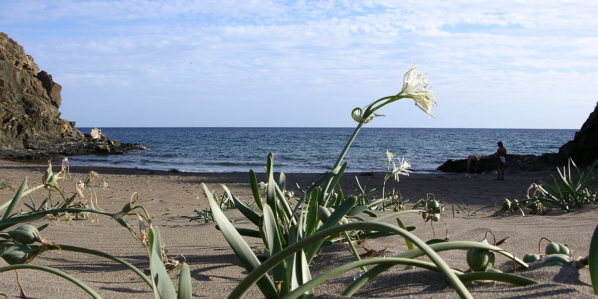  PLAYAS Y CALAS