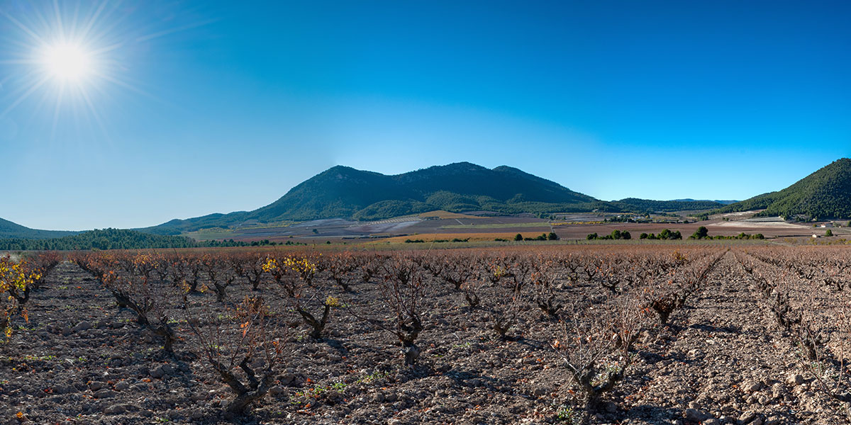 ZONA DE PRODUCCI�N
