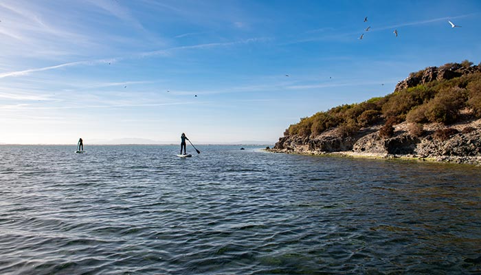 Kitesurf /Paddlesurf