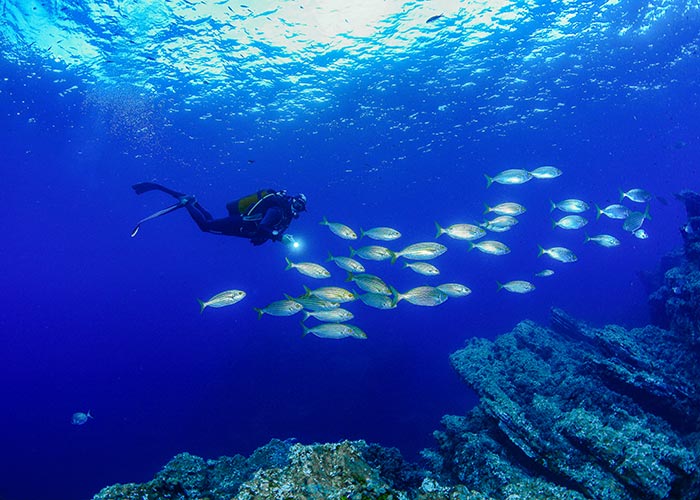 Diving