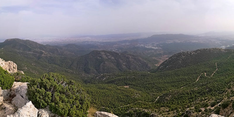 LA RUTA