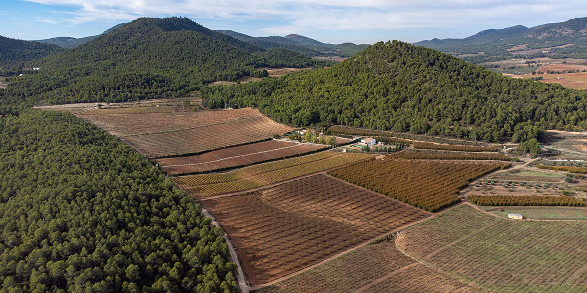 Nature Vivante