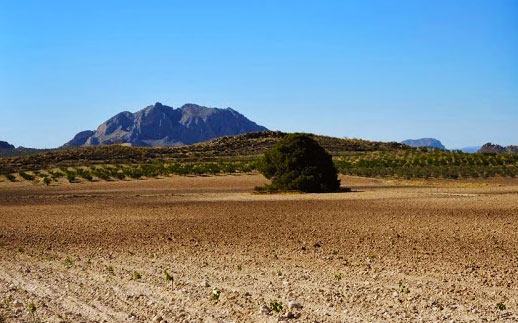 Arcano y Carrasco