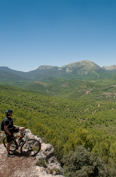 Sierra Espu�a