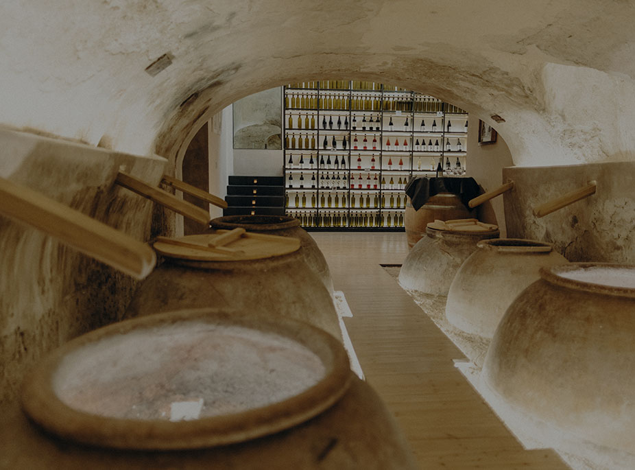 WINE SCHOOL