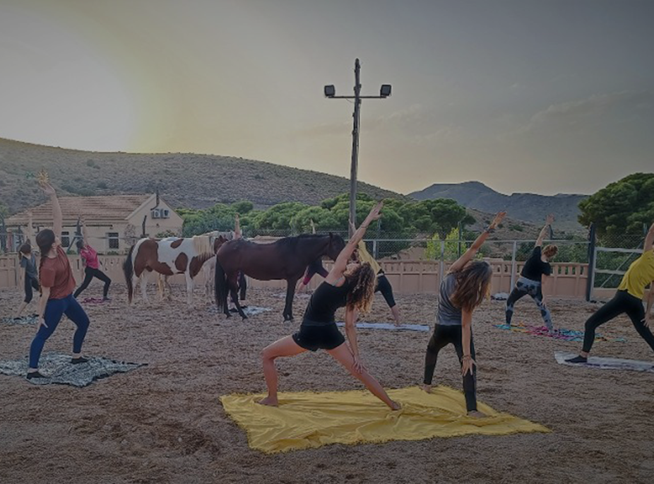 Yoga entre caballos