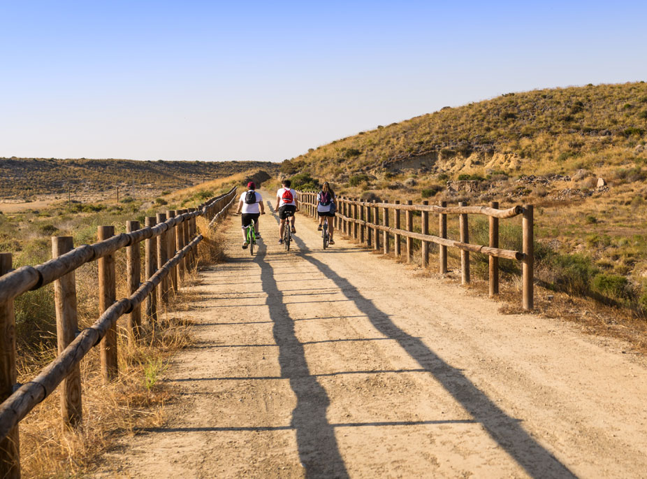 A PIE O EN BICI