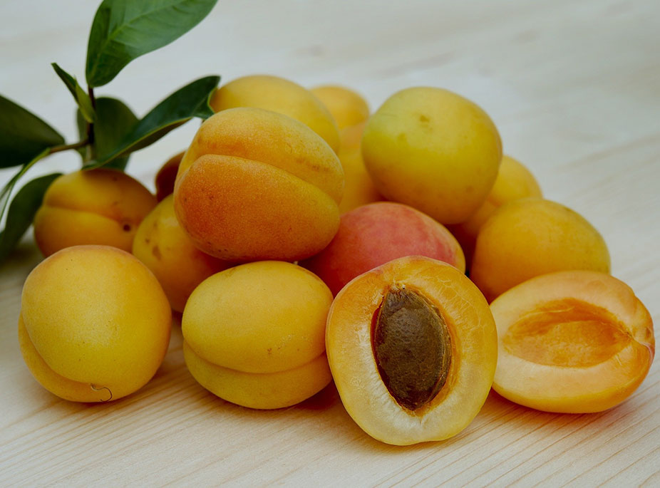 FRUTAS