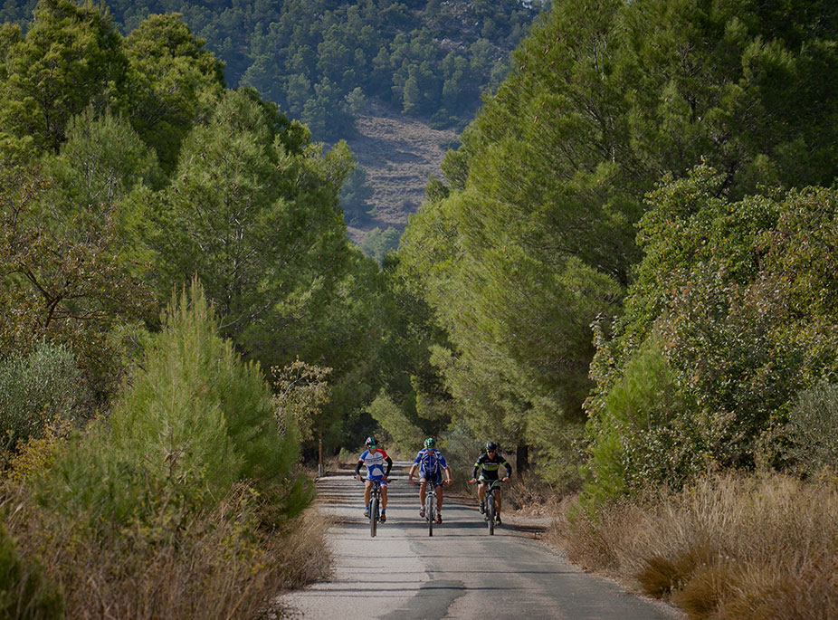 Act�vate y disfruta del paisaje