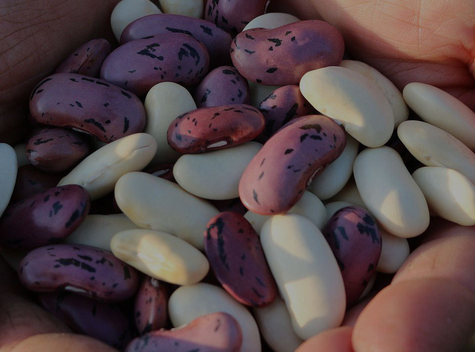 ARROZ CON HABICHUELAS O 