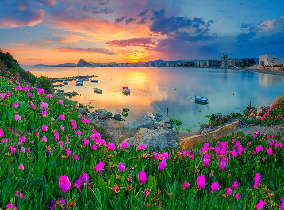 A DELIGHTFUL BEACH