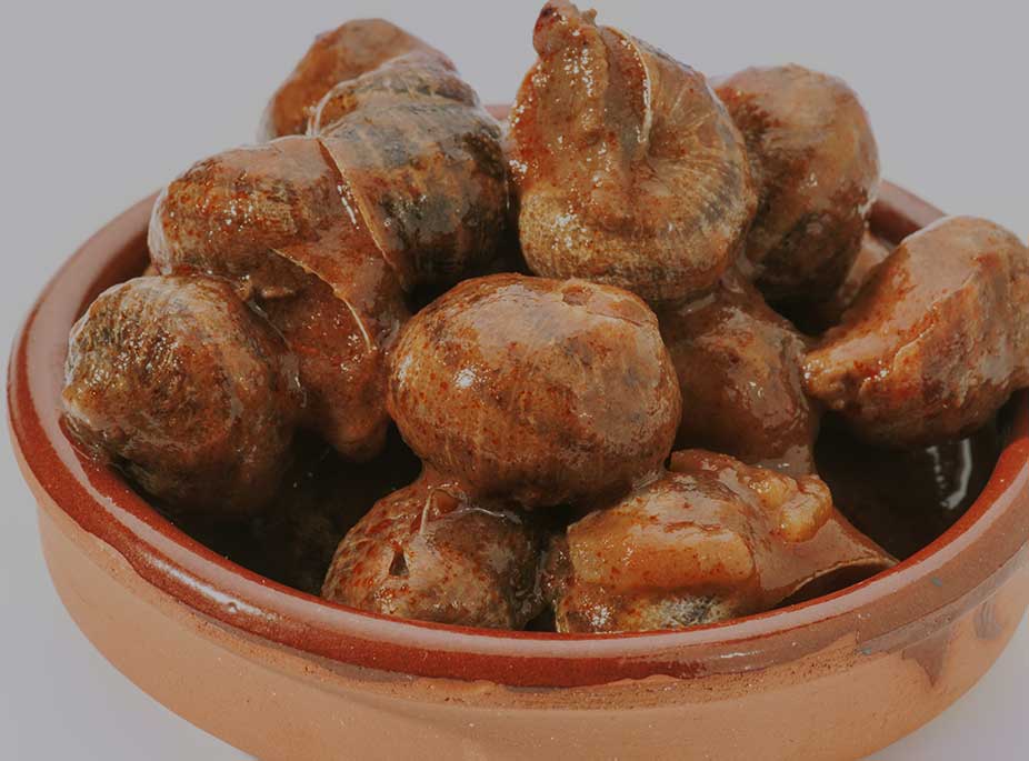 CARACOLES 