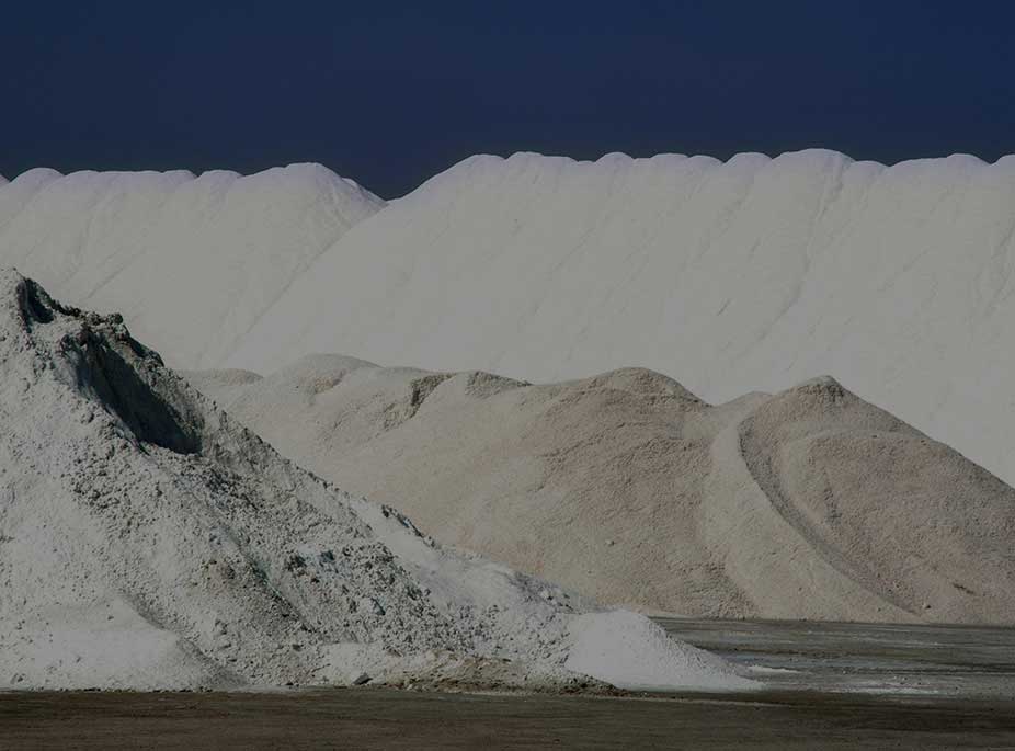 FLEUR DE SEL