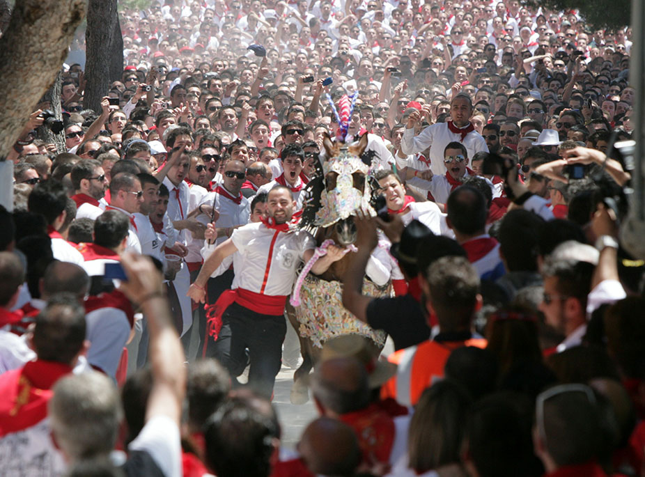 CABALLOS DEL VINO