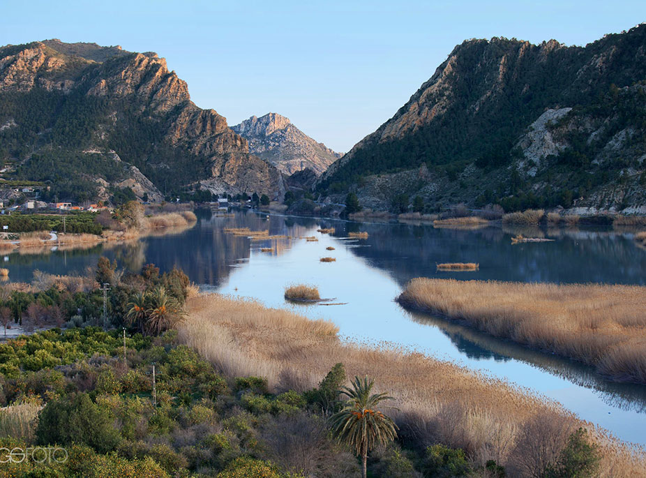 THE RICOTE VALLEY
