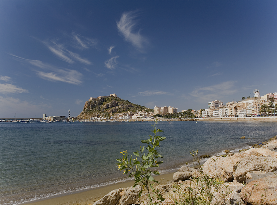 Patr�n por un d�a en �guilas