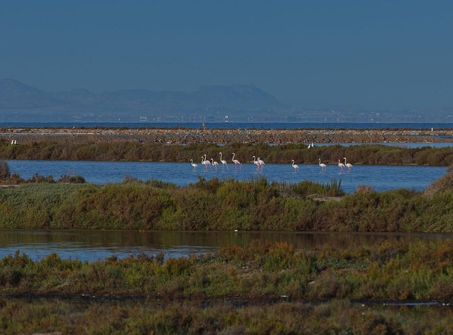 SALINES ET �TENDUES DE SABLE