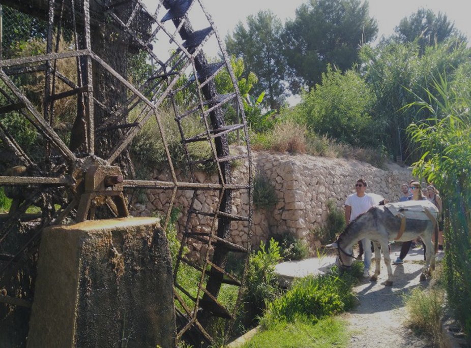 Senderismo con burros