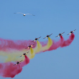 THE FLYING ACROBATS