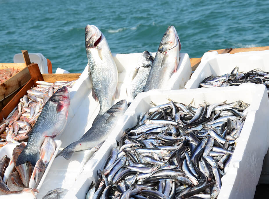 TR�SORS DE LA MER
